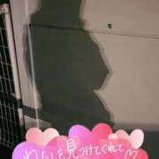 ヒメ日記 2026/03/13 02:25 投稿 花島あかね コウテイ