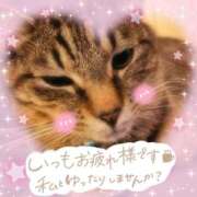 ヒメ日記 2026/07/08 18:55 投稿 花島あかね コウテイ