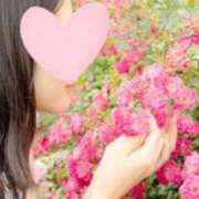 ヒメ日記 2025/06/03 09:34 投稿 つばき 東京妻