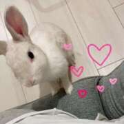 ヒメ日記 2025/07/31 22:32 投稿 つばき 東京妻