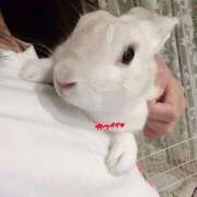 ヒメ日記 2025/10/24 22:28 投稿 つばき 東京妻