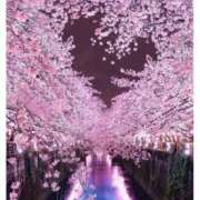 ヒメ日記 2025/03/30 06:25 投稿 るい 性腺熟女100％（デリヘル市場）