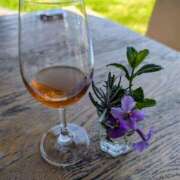 ヒメ日記 2025/07/10 21:00 投稿 るい 性腺熟女100％鶯谷（デリヘル市場）