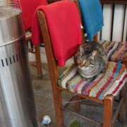 ヒメ日記 2025/02/21 13:42 投稿 殿岡ちさと Mrs.Dandy Kinshicho