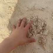 ヒメ日記 2024/12/26 17:08 投稿 殿岡ちさと Mrs. Dandy