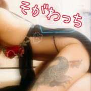 ヒメ日記 2025/03/09 06:24 投稿 十川 熟女の風俗最終章 横浜本店