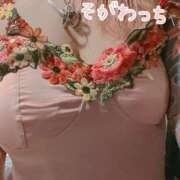 ヒメ日記 2025/08/01 17:20 投稿 十川 熟女の風俗最終章 横浜本店