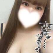 ヒメ日記 2025/03/20 12:08 投稿 うい 静岡駅前ちゃんこ