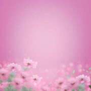 ヒメ日記 2024/12/13 00:12 投稿 芹奈【セリナ】 ピンクコレクション大阪