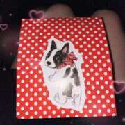 ヒメ日記 2025/03/17 01:41 投稿 芹奈【セリナ】 ピンクコレクション大阪