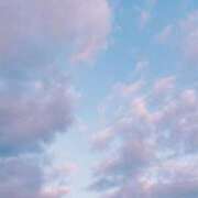 ヒメ日記 2025/08/11 15:18 投稿 芹奈【セリナ】 ピンクコレクション大阪