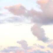 ヒメ日記 2025/11/13 15:49 投稿 芹奈【セリナ】 ピンクコレクション大阪