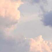 ヒメ日記 2025/11/24 11:51 投稿 芹奈【セリナ】 ピンクコレクション大阪