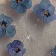 ヒメ日記 2025/11/28 22:21 投稿 芹奈【セリナ】 ピンクコレクション大阪