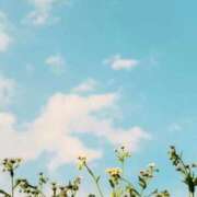 ヒメ日記 2025/12/07 13:51 投稿 芹奈【セリナ】 ピンクコレクション大阪