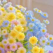 ヒメ日記 2025/12/09 00:26 投稿 芹奈【セリナ】 ピンクコレクション大阪