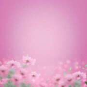 ヒメ日記 2025/03/08 03:00 投稿 芹奈【セリナ】 ピンクコレクション尼崎店