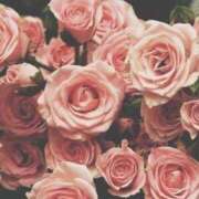 ヒメ日記 2025/08/17 23:08 投稿 芹奈【セリナ】 ピンクコレクション尼崎店