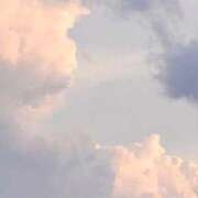 ヒメ日記 2025/11/24 12:02 投稿 芹奈【セリナ】 ピンクコレクション尼崎店