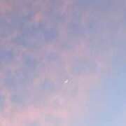 ヒメ日記 2025/08/14 00:50 投稿 芹奈【セリナ】 ピンクコレクション大阪キタ店