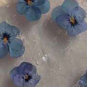 ヒメ日記 2025/11/28 22:09 投稿 芹奈【セリナ】 ピンクコレクション大阪キタ店