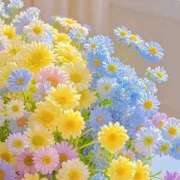 芹奈【セリナ】 完売✧︎* ピンクコレクション大阪キタ店