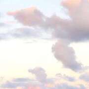 芹奈【セリナ】 出勤‪⸜♡⸝‍‬ ピンクコレクション大阪キタ店