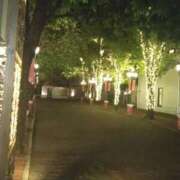 ヒメ日記 2024/12/28 12:25 投稿 みらい 諭吉専科