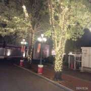 ヒメ日記 2024/12/29 16:37 投稿 えり 諭吉専科