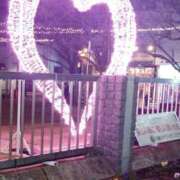 ヒメ日記 2025/01/04 21:01 投稿 えり 諭吉専科