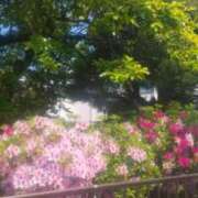 ヒメ日記 2025/05/05 12:37 投稿 えり 諭吉専科