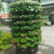 ヒメ日記 2025/05/14 14:06 投稿 えり 諭吉専科