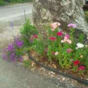 ヒメ日記 2025/05/26 16:50 投稿 えり 諭吉専科