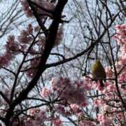 ヒメ日記 2026/02/15 18:34 投稿 天乃める ウルトラセレクション