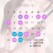 天乃める 🪷6月の出勤情報🪼 ウルトラセレクション
