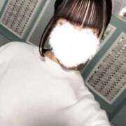 ヒメ日記 2025/03/14 15:20 投稿 りり 若葉