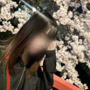 ヒメ日記 2025/04/07 23:05 投稿 りり 若葉