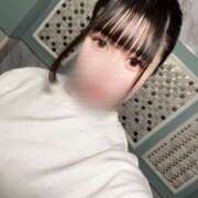 ヒメ日記 2025/04/12 11:51 投稿 りり 若葉