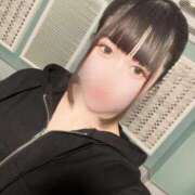 ヒメ日記 2025/04/14 14:45 投稿 りり 若葉