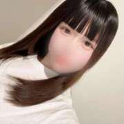 ヒメ日記 2025/04/20 11:47 投稿 りり 若葉