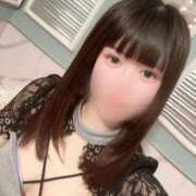 ヒメ日記 2025/11/20 14:35 投稿 りり 若葉