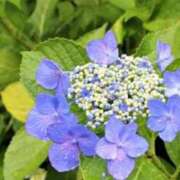 ヒメ日記 2025/06/13 17:08 投稿 ふぶき 北九州熟女倶楽部　五十路