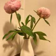 ヒメ日記 2025/07/04 14:26 投稿 ふぶき 北九州熟女倶楽部　五十路