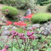 ヒメ日記 2025/10/02 06:48 投稿 ふぶき 北九州熟女倶楽部　五十路