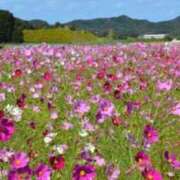 ヒメ日記 2025/10/14 17:27 投稿 ふぶき 北九州熟女倶楽部　五十路