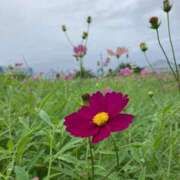 ヒメ日記 2025/10/23 17:59 投稿 ふぶき 北九州熟女倶楽部　五十路