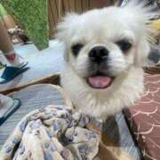 ヒメ日記 2025/03/05 23:35 投稿 はち オズ 千葉栄町店