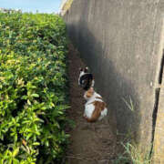 ヒメ日記 2025/04/16 11:45 投稿 はち オズ 千葉栄町店