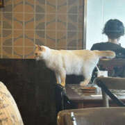 ヒメ日記 2025/09/19 18:39 投稿 はち オズ 千葉栄町店