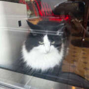 ヒメ日記 2025/09/24 20:29 投稿 はち オズ 千葉栄町店